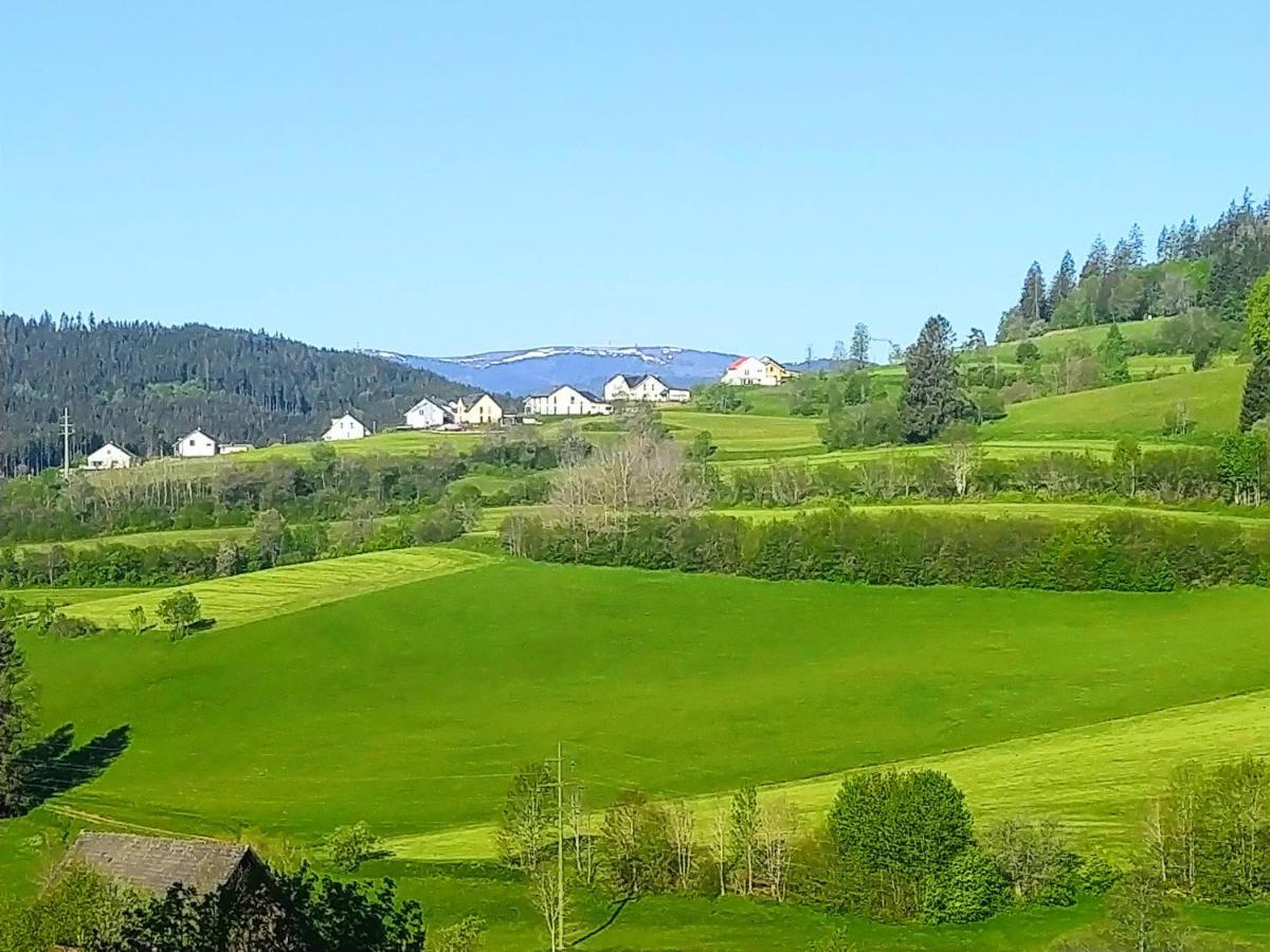 Romantic Style Apartment Titisee-Neustadt Buitenkant foto