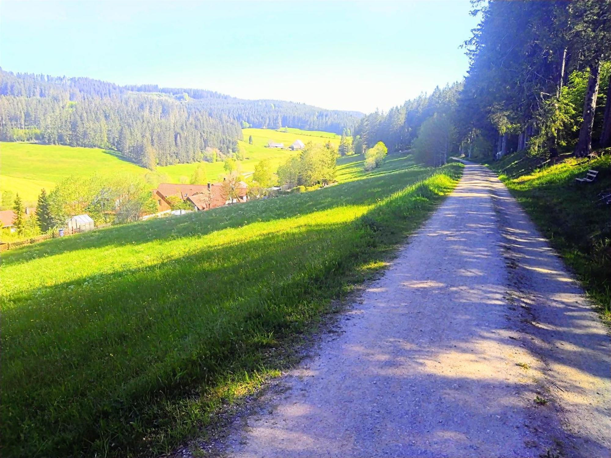 Romantic Style Apartment Titisee-Neustadt Buitenkant foto